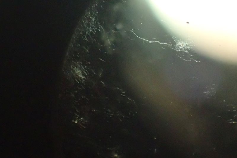 Preventing Lens Fungus and Mold in Binoculars and Telescopes