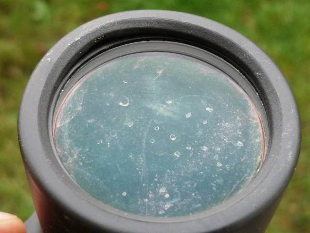 Glass fungus on binoculars