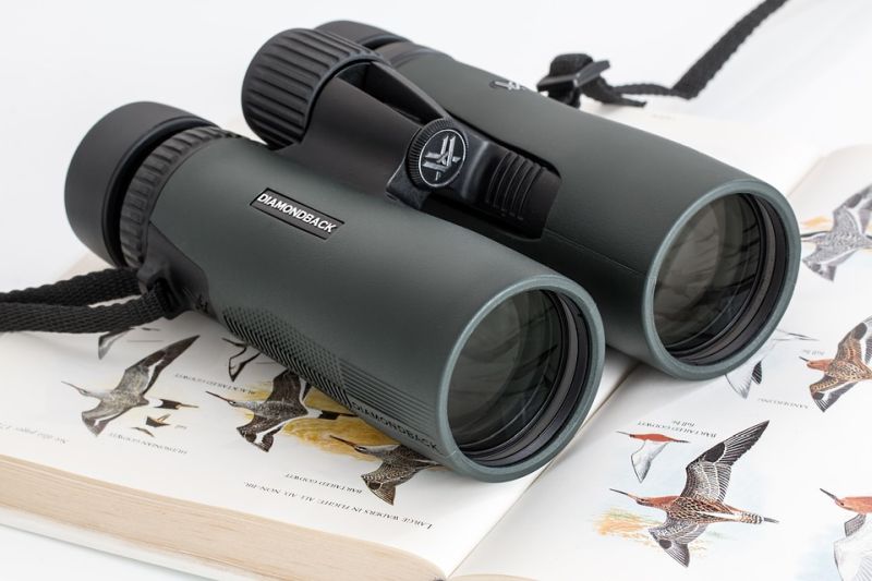 Best Binoculars: The Cornell Lab Review 2013 | All About Birds All About  Birds