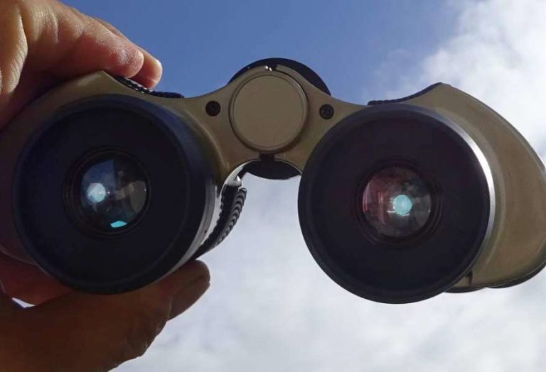 What Is The Exit Pupil In Binoculars and Telescopes?
