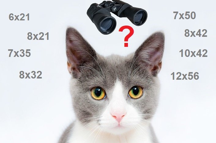 what-do-the-numbers-on-binoculars-mean-optics-mag