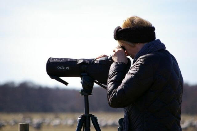 birdwatcher with spoting scope
