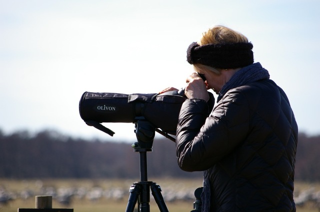 using a spotting scope