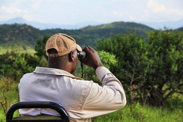 wildlife guide using binoculars
