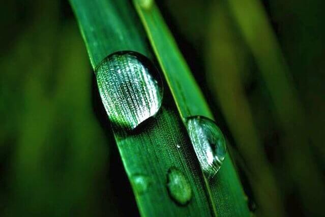 A water drop is a natural magnifying glass