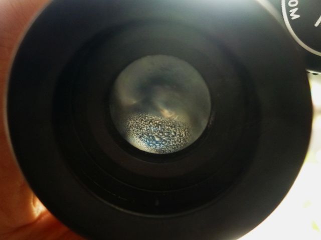 Binoculars eyepiece lens fogging up